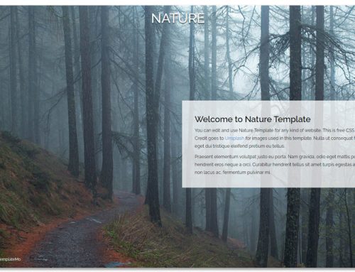 Thème Nature, Slider: Prix Site Web à 350 euros