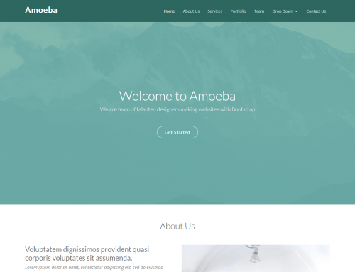 Thème Amoeba: Prix Site Web à 500 euros
