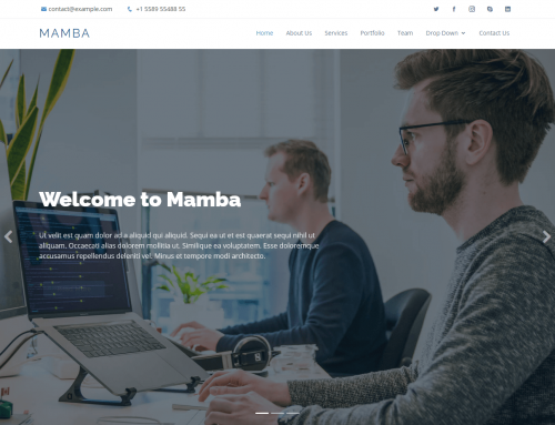 Thème Mamba: Prix Site Web à 500 euros